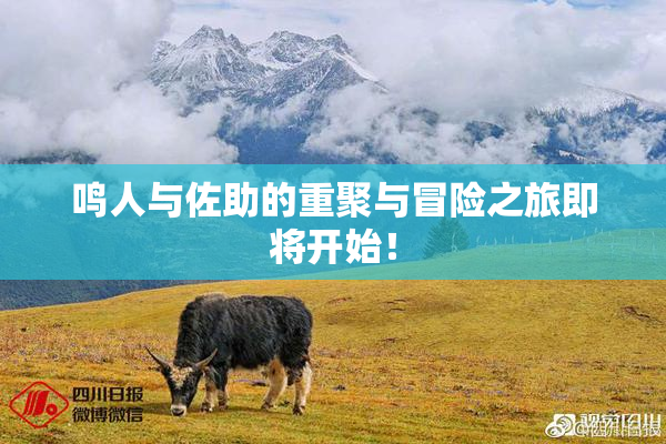 鸣人与佐助的重聚与冒险之旅即将开始！