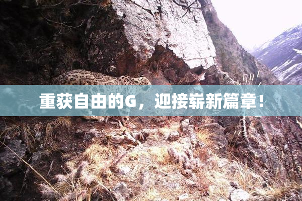 重获自由的G，迎接崭新篇章！