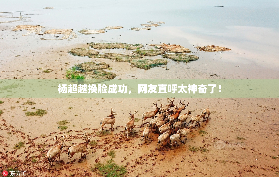 杨超越换脸成功，网友直呼太神奇了！