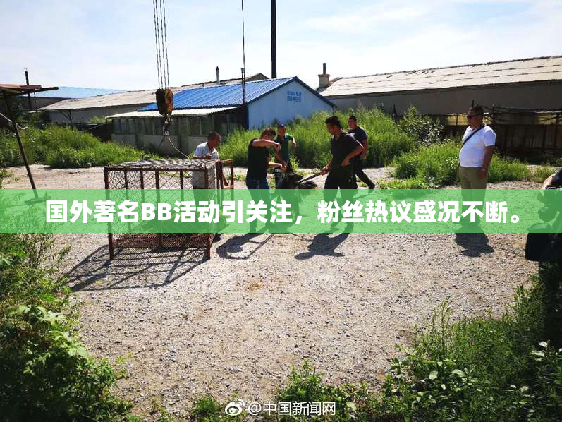 国外著名BB活动引关注，粉丝热议盛况不断。
