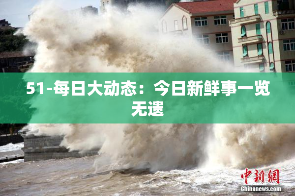 51-每日大动态：今日新鲜事一览无遗