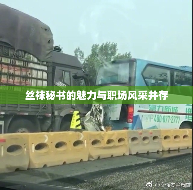 丝袜秘书的魅力与职场风采并存
