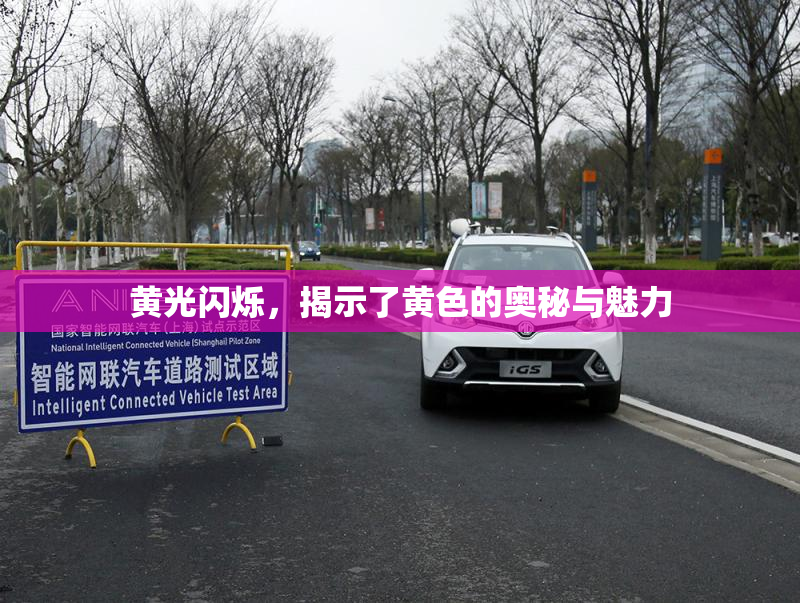 黄光闪烁，揭示了黄色的奥秘与魅力