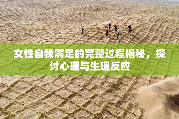 女性自我满足的完整过程揭秘，探讨心理与生理反应