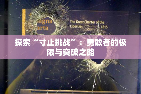 探索“寸止挑战”：勇敢者的极限与突破之路