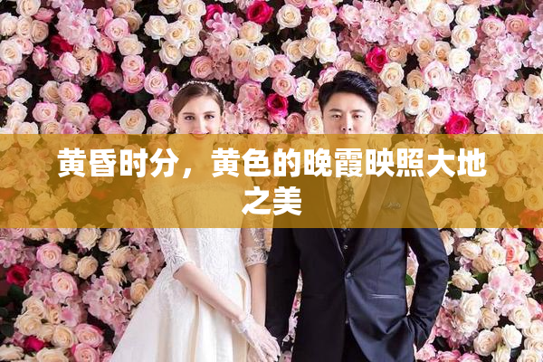 黄昏时分，黄色的晚霞映照大地之美