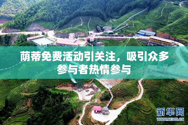 荫蒂免费活动引关注，吸引众多参与者热情参与