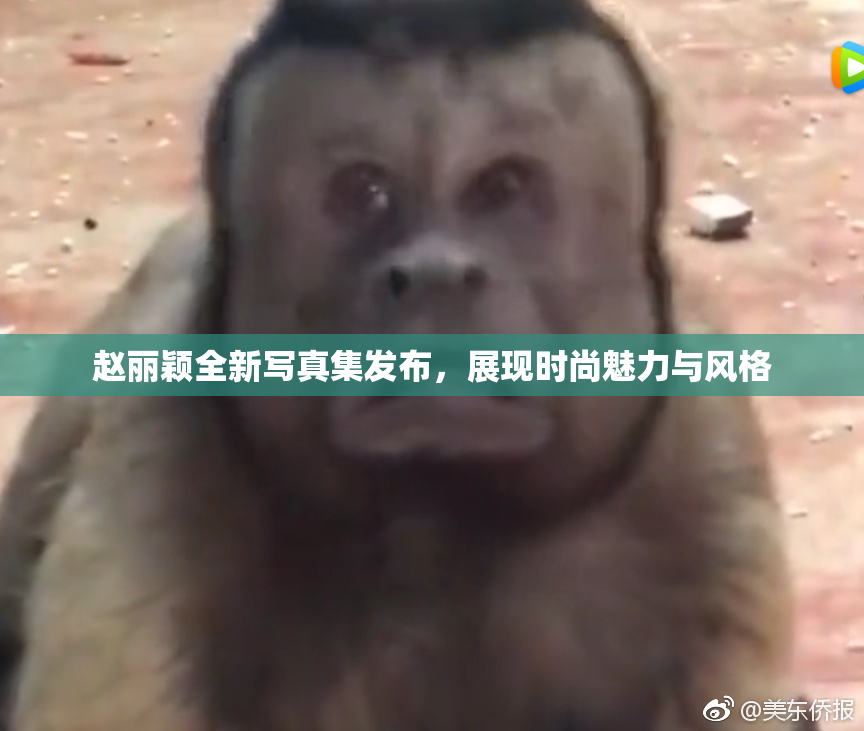赵丽颖全新写真集发布，展现时尚魅力与风格