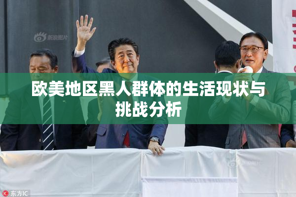欧美地区黑人群体的生活现状与挑战分析