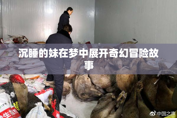 沉睡的妹在梦中展开奇幻冒险故事