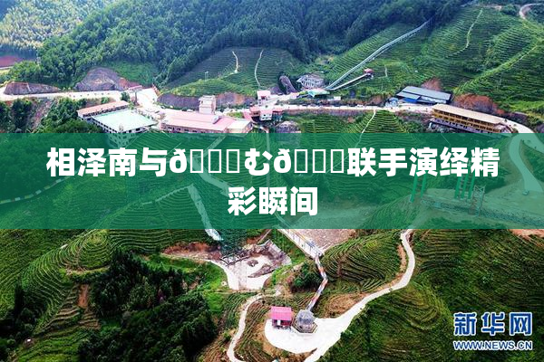 相泽南与😚む🍍联手演绎精彩瞬间