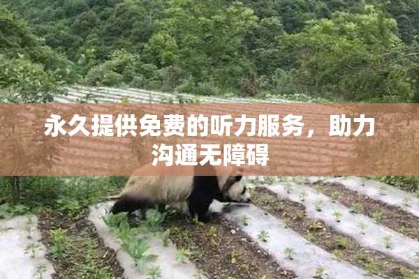永久提供免费的听力服务，助力沟通无障碍