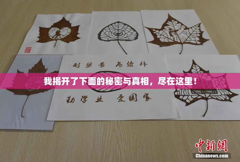 我揭开了下面的秘密与真相，尽在这里！