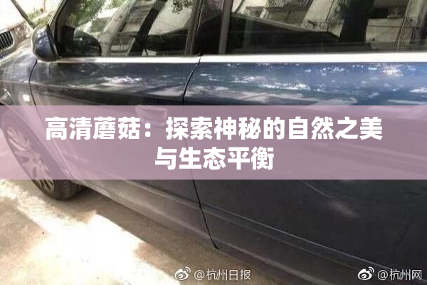 高清蘑菇：探索神秘的自然之美与生态平衡