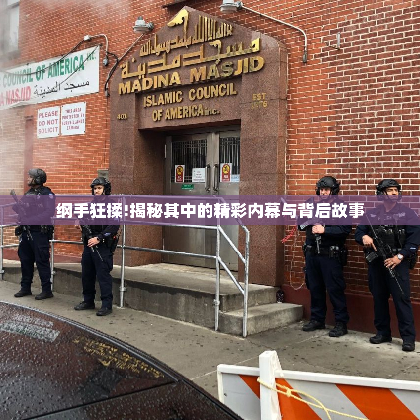 纲手狂揉!揭秘其中的精彩内幕与背后故事