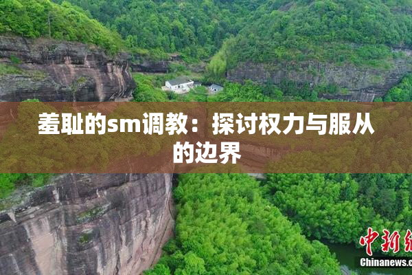羞耻的sm调教：探讨权力与服从的边界