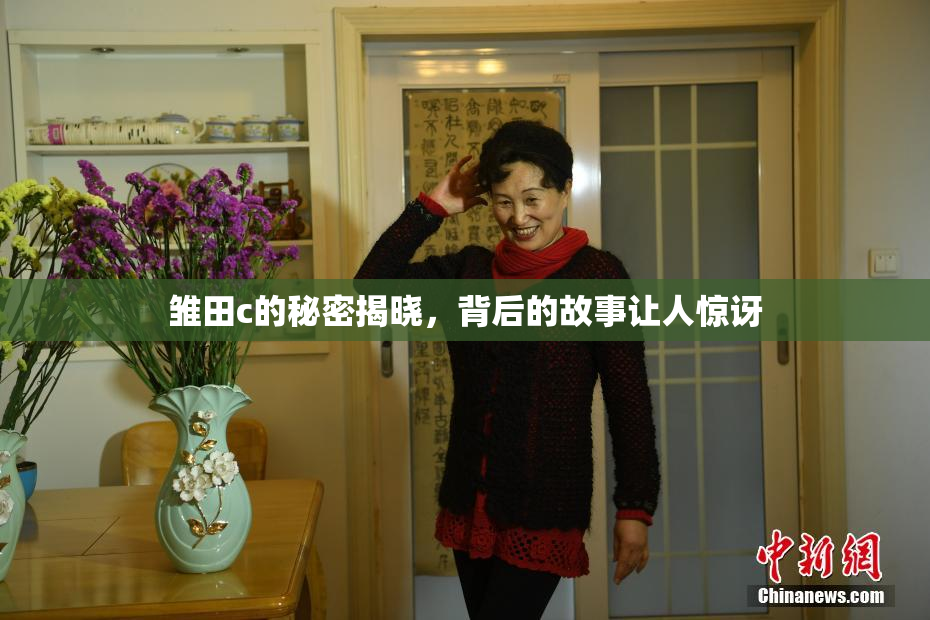 雏田c的秘密揭晓，背后的故事让人惊讶