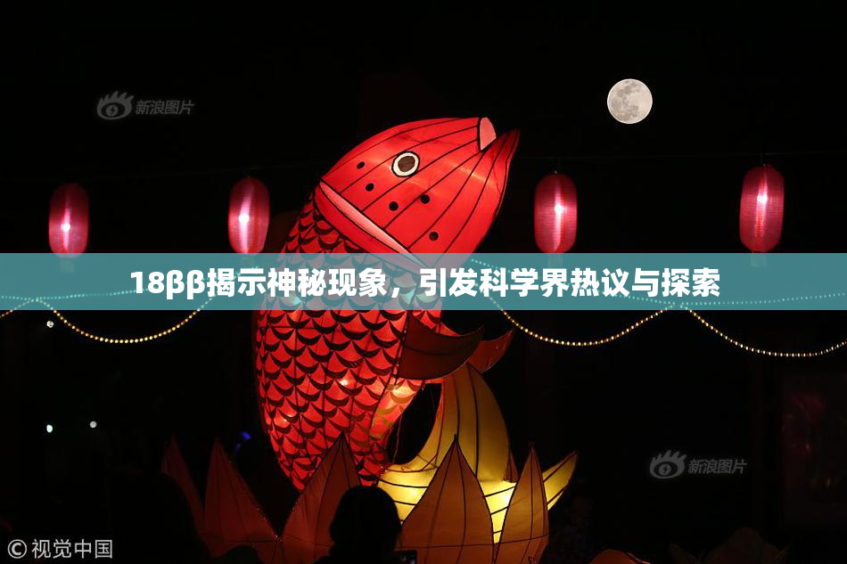 18ββ揭示神秘现象，引发科学界热议与探索