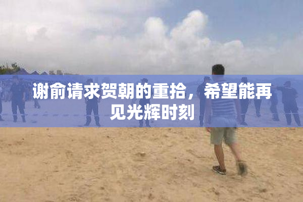 谢俞请求贺朝的重拾，希望能再见光辉时刻