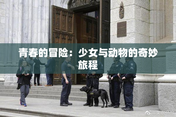 青春的冒险：少女与动物的奇妙旅程