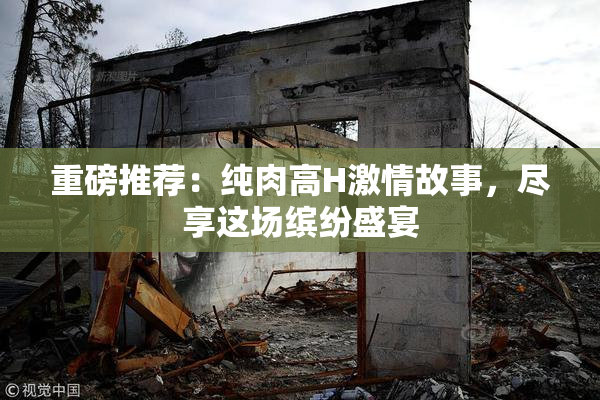 重磅推荐：纯肉高H激情故事，尽享这场缤纷盛宴