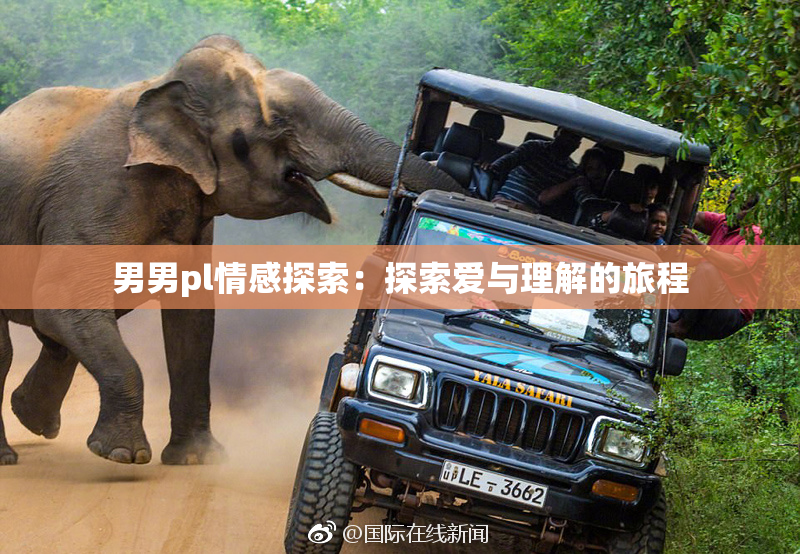 男男pl情感探索：探索爱与理解的旅程
