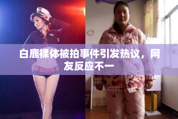 白鹿裸体被拍事件引发热议，网友反应不一