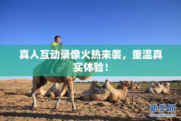 真人互动录像火热来袭，重温真实体验！