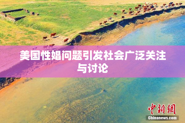 美国性娼问题引发社会广泛关注与讨论