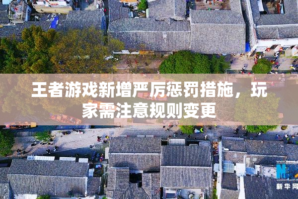 王者游戏新增严厉惩罚措施，玩家需注意规则变更