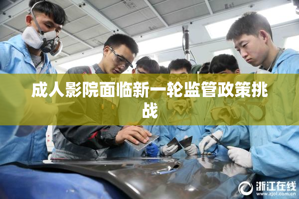 成人影院面临新一轮监管政策挑战
