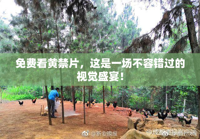 免费看黄禁片，这是一场不容错过的视觉盛宴！