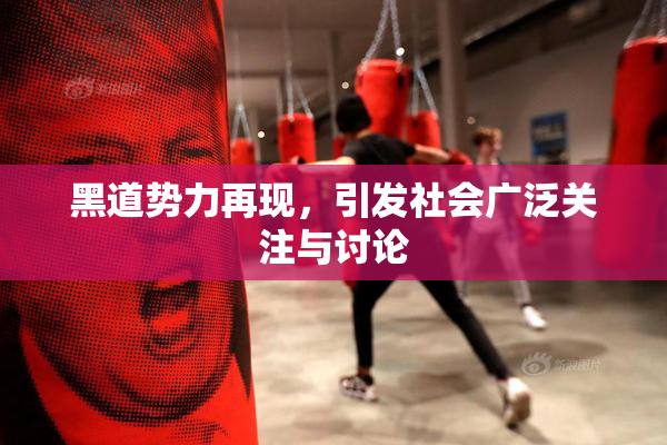黑道势力再现，引发社会广泛关注与讨论