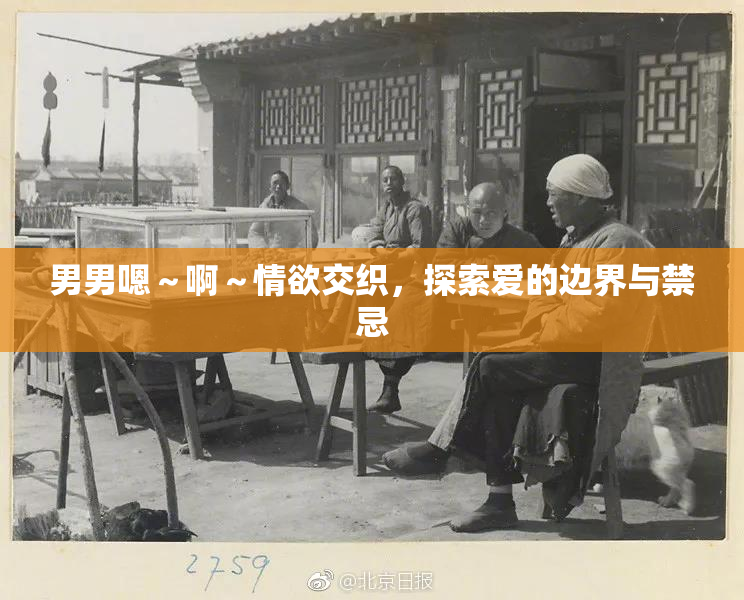 男男嗯～啊～情欲交织，探索爱的边界与禁忌