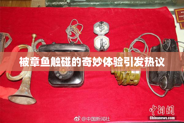 被章鱼触碰的奇妙体验引发热议