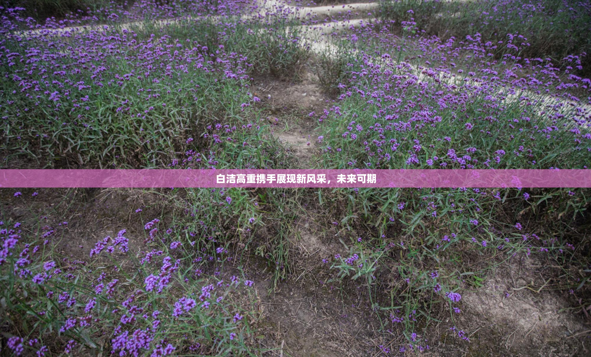 白洁高重携手展现新风采，未来可期