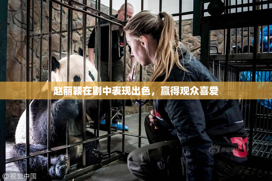 赵丽颖在剧中表现出色，赢得观众喜爱