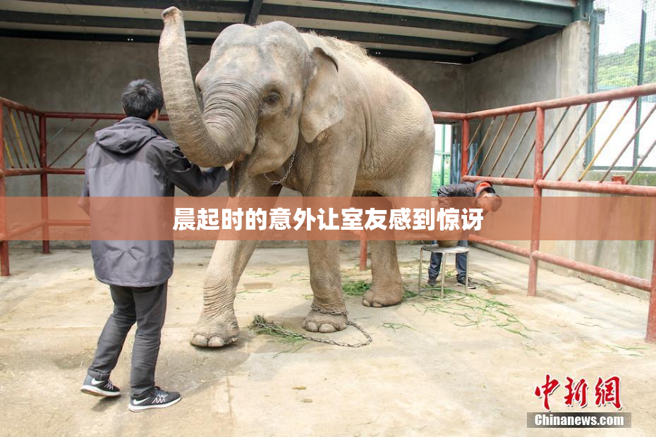 晨起时的意外让室友感到惊讶