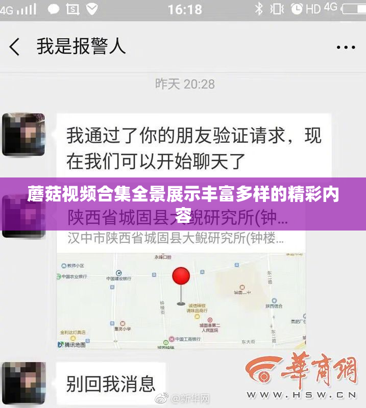 蘑菇视频合集全景展示丰富多样的精彩内容