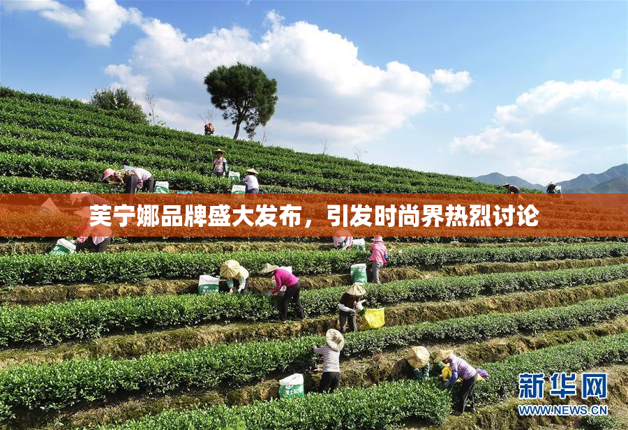 芙宁娜品牌盛大发布，引发时尚界热烈讨论