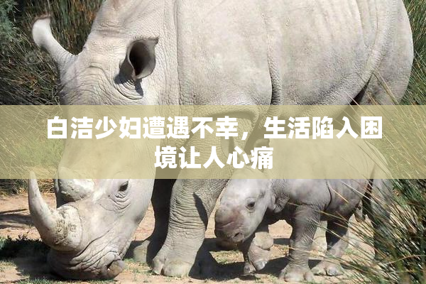 白洁少妇遭遇不幸，生活陷入困境让人心痛