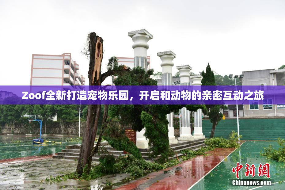 Zoof全新打造宠物乐园，开启和动物的亲密互动之旅