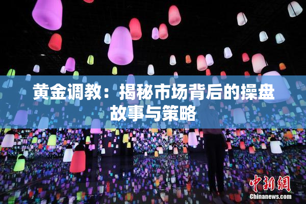 黄金调教：揭秘市场背后的操盘故事与策略