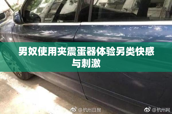 男奴使用夹震蛋器体验另类快感与刺激
