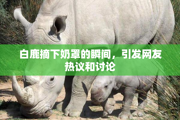 白鹿摘下奶罩的瞬间，引发网友热议和讨论