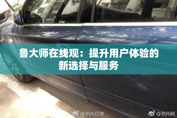 鲁大师在线观：提升用户体验的新选择与服务