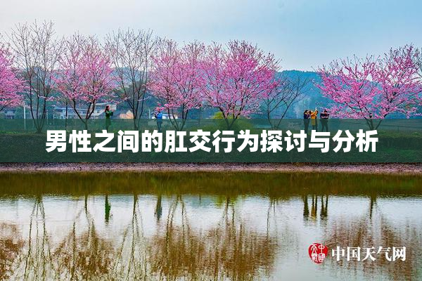 男性之间的肛交行为探讨与分析