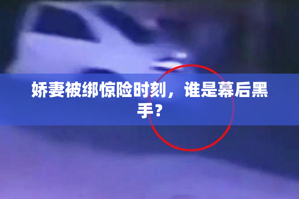 娇妻被绑惊险时刻，谁是幕后黑手？