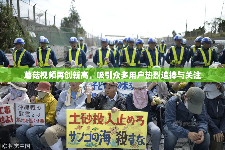 蘑菇视频再创新高，吸引众多用户热烈追捧与关注