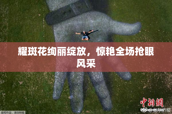 耀斑花绚丽绽放，惊艳全场抢眼风采